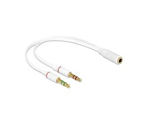 DeLOCK 65585 Câble Audio 0.2m, Connecteurs 2x 3.5mm Mâle vers 3.5mm Femelle, Blanc, Conditionnement Sachet PE