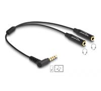 Delock 66242 Câble Audio 0,25 M 3,5mm 2 X 3.5mm Noir