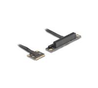 DeLOCK 81295 Adaptateur Interne Mini PCI Express vers PCIe x1, Longueur câble 0.2m, Interface Hôte Mâle, Noir, Conditionnement Boîte