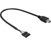 Delock 83170 USB Kabel Delock Pinheader 5Pin -> mini B Bu/St 0.30m