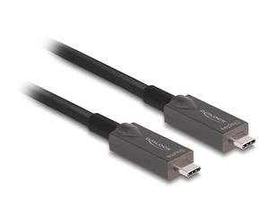 Delock 84179 Usb Kabel 15 M Usb 3.2 Gen 2 (3.1 Gen 2) Usb C Schwarz (84179)
