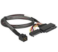 DeLOCK 84819 Carte et Adaptateur d'interfaces Interne U.2, SATA