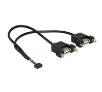 DeLock Câble interne USB 84832 – USB 2.0 10 broches (F) vers 2x USB A – 25 cm, noir