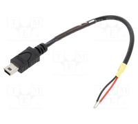 DeLOCK 85251 Câble USB 2.0 0.1m Mini-USB B Mâle/Mâle Noir - Connecteurs droits, Diamètre 3mm, pour alimentation et applications spéciales