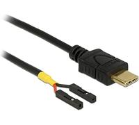 DeLock 85395 Câble USB C (M) à 2 broches USB (M) séparé 20 cm Noir