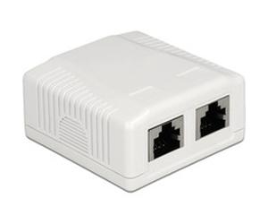 DeLOCK 86197 prise de courant 2 x RJ-45 Blanc, Boîte de jonction