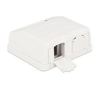 Delock Keystone Surface Mounted Box - Boîtier d'insertion modulaire - blanc - 2 ports Blanc G