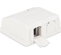 DELOCK 86236 - Boîtier vide 2 ports protection contre la poussière Keystone Del