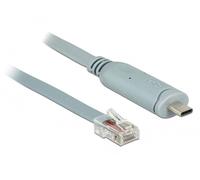 DeLOCK 89892 câble Série Gris 5 m USB 2.0 Type-A RJ45