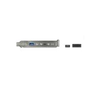 DeLOCK 89934: Câble USB interne 0.5m, USB 3.2 Gen 2 (3.1 Gen 2), Connecteur USB-C mâle vers USB-A femelle, Sachet individuel
