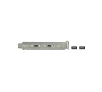 DeLOCK 89935 Câble Interne USB 3.2 Gen 2 (3.1 Gen 2) 0.5m, Connecteur USB-A Mâle vers USB-C Femelle, Conditionnement Sachet