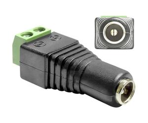 Delock adaptateur DC 2,1 x 5,5 mm femelle > Terminalblock 2 Pin