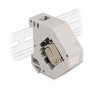 DeLOCK Adaptateur de rail DIN avec module Keystone RJ45 femelle Cat.6A LSA