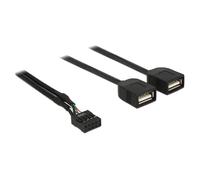Delock - Adaptateur interne vers externe USB - connecteur USB 10 broches (F) pour USB (F) - 40 cm - noir