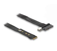 DeLOCK Adaptateur M.2 clé M vers U.2 SFF-8639 NVMe, avec câble de 20 cm