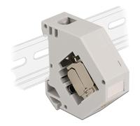 Delock Adaptateur pour profilé chapeau avec module Keystone RJ45 femelle Cat.6A LSA