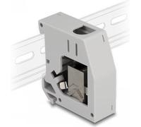 Delock Adaptateur pour profilé chapeau avec module Keystone RJ45 femelle vers RJ45 femelle Cat.6A, PC : accessoires, Gris