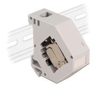 DeLOCK Adaptateur sur rail DIN avec module Keystone RJ-45 > Cat.6a LSA, Module de Keystone