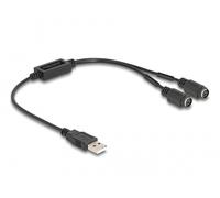 DeLock Adaptateur USB vers 2 x PS/2 61061