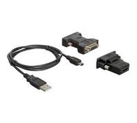 Delock - Adaptateur vidéo externe - 128 Mo SDRAM - USB 2.0 - DVI, D-Sub G
