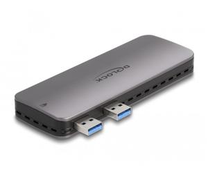 DeLock Boîtier externe USB 3.2 Gen 2 compatible PS5
