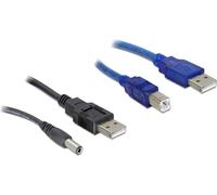 Delock - Câblage d'alimentation - USB (M) pour USB type B, prise CC 2,1 mm (M) - 30 cm