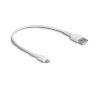 Delock Câble de charge USB USB 2.0 Connecteur Lightning , USB-A mâle 0.30 m blanc 87866