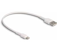 Delock Câble de charge USB USB 2.0 Connecteur Lightning , USB-A mâle 0.30 m blanc 87866