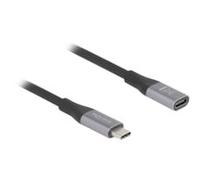 DeLock Rallonge USB-C 4.0 - 2 m