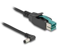 Delock Câble électrique USB Connecteur PoweredUSB 12 V , Connecteur DC 5,5 mm 1.00 m noir 80609