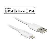 Delock - Câble Lightning - Lightning mâle pour USB mâle - 2 m - blanc