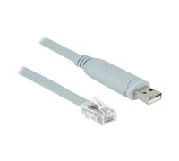 - Câble série - USB (M) pour RJ-45 (M) - 50 cm - EIA-232 - gris