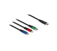 DeLOCK Câble USB 2.0 3-en-1 Type-C vers Lightning/Micro-USB/Type-C, 30cm, 22 AWG, 3A, Noir/Bleu/Vert/Rouge