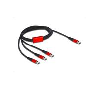 DeLOCK Câble USB 2.0 Type-C vers 3x Type-C, 1m, Noir/Rouge, 22 AWG - Connecteurs Mâles Droits, Réf. 86713