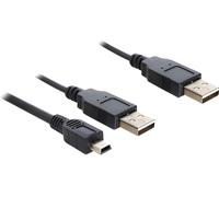 DELOCK Câble USB en Y 2x A -> mini B St/St 0.30m