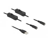 DeLock Câble USB Type-A mâle à 2 DC 5,5 x 2,1 mm femelle avec interrupteur