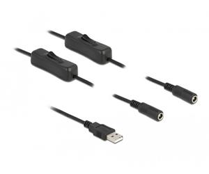 DeLock Câble USB Type-A mâle à 2 DC 5,5 x 2,1 mm femelle avec interrupteur