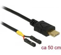 Delock Câble USB Type-C™ mâle > 2 x prise poteau simple courant 50 cm (85473)