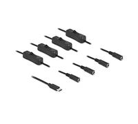 Delock Câble USB Type-C? mâle vers 4 x DC 5,5 x 2,1 mm femelle avec interrupteur 1 m