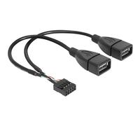 Delock Câble USB USB 2.0 En-tête de broche 8 pôles, USB-A femelle 0.20 m noir