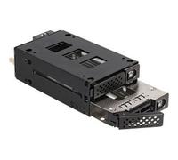 DeLock Cadre amovible pour 2x 2,5 U.2 NVMe SSD, Slim Bay