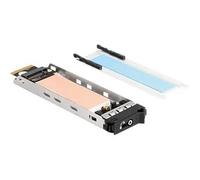 DeLock Cadre amovible tiroir pour 47028