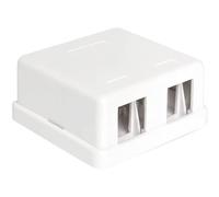 DeLOCK Caja Keystone montada en Surface, 2 puertos