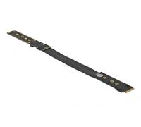 DeLOCK Carte d'adaptation M.2 clé M Extension NVMe avec 20 cm de câble