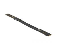 DeLock Carte d'adaptation M.2 clé M NVMe avec câble 20 cm