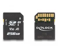 DeLOCK Carte de mémoire SD Express 256 Go