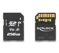Delock Carte mémoire SD Express 256 Go
