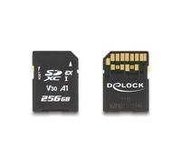 Delock Carte mémoire SD Express 256 Go