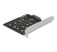 DeLOCK Carte PCI Express x1 vers 2x M.2 Clé B, Adaptateur