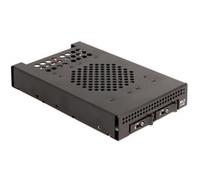 DeLOCK Châssis amovible 3,5″ pour 2 x M.2 NVMe SSD, Cadre de montage